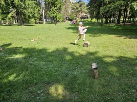 img_20250612_100218.jpg