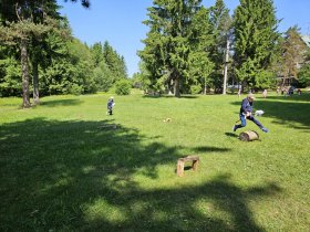 img_20250612_100224.jpg