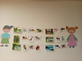 img_20251118_080319.jpg