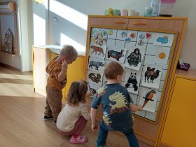 img_20251118_093417.jpg