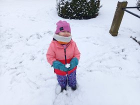 img_20260130_104924.jpg
