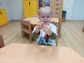 img_20260211_094100.jpg