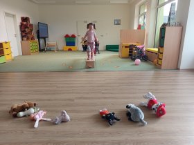 img_20260224_095519.jpg