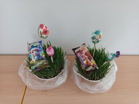 img_20260401_121334.jpg