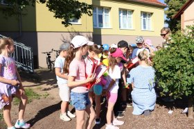 img_2074.jpg